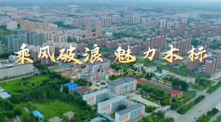 狗子28公司内景